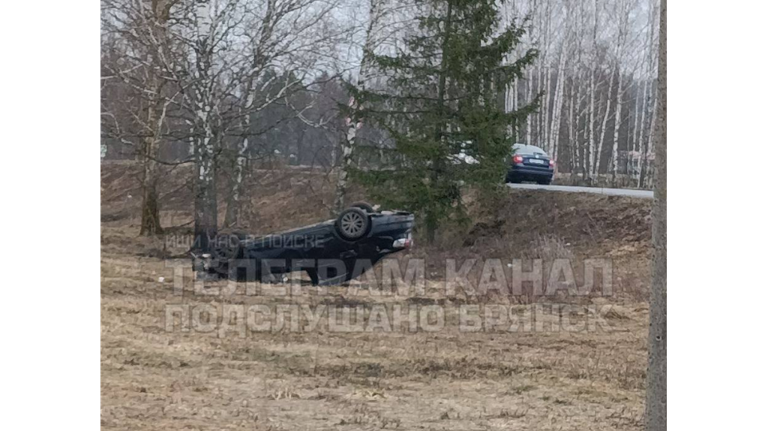 На брянской трассе легковушка вылетела в кювет и перевернулась