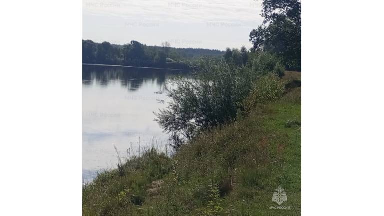 В Брянском районе из Десны подняли труп человека