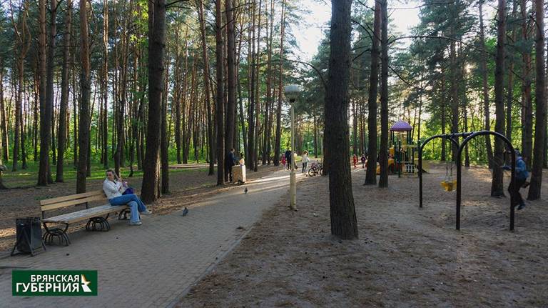 Брянск вошел в топ-10 рейтинга Минстроя по индексу качества городской среды