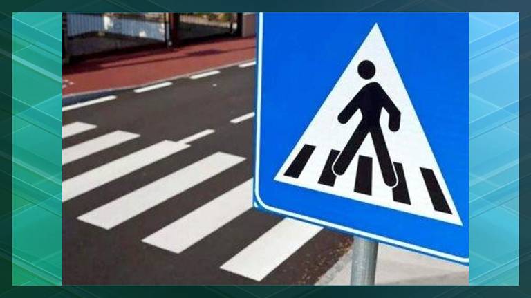 В Брянске наказали 17 бесстрашных пешеходов