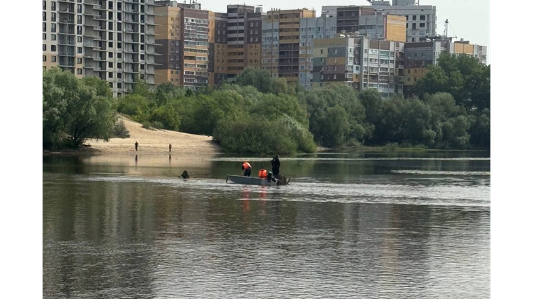 В Брянске в Десне утонули двое подростков