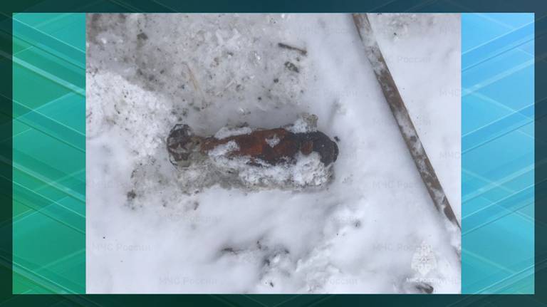 В Выгоничском районе обнаружили мину и гранату