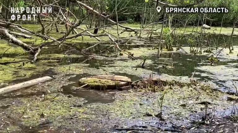 Жители улицы Луговой в Брянске пожаловались на утечку питьевой воды