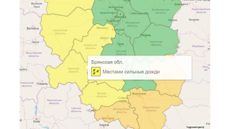 В Брянской области уровень погодной опасности повысили до желтого