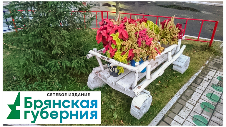 В Брянске ремонта дождутся 11 дворов