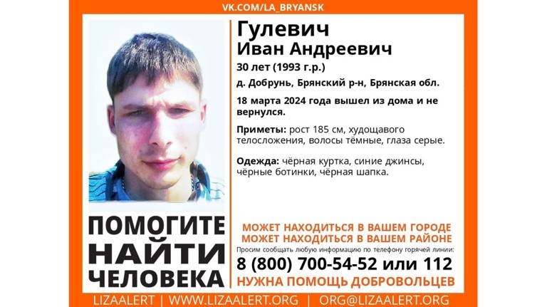 Пропавшего 30-летнего Ивана Гулевича из деревни Добрунь Брянского района нашли живым