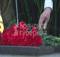 В Брянске в День памяти и скорби возложили цветы к воинскому мемориалу