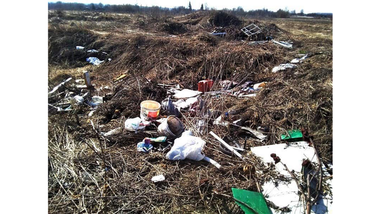 В Брянской области по нацпроекту рекультивируют несанкционированные свалки