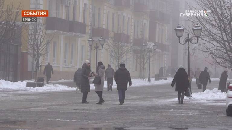 МЧС предупредило брянцев о мокром снеге 21 февраля