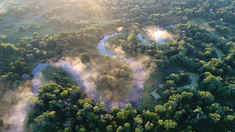 В Брянской области отмечают Международный день леса