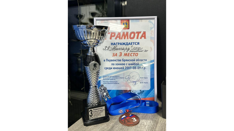 В Жуковке состоялось первенство Брянской области по хоккею