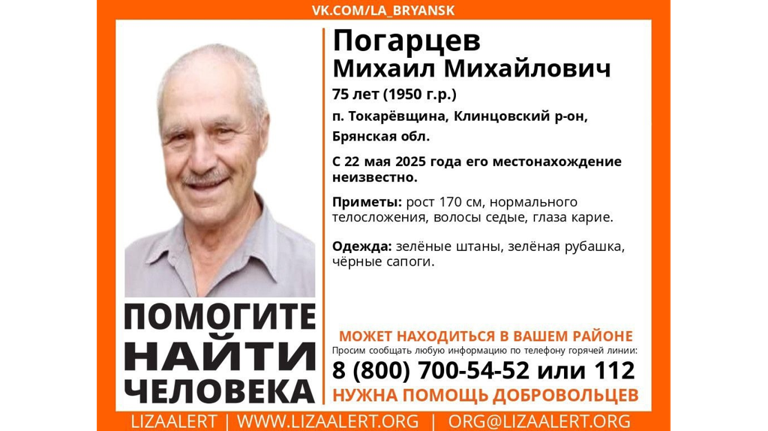 В Брянской области ищут без вести пропавшего 75-летнего Михаила Погарцева