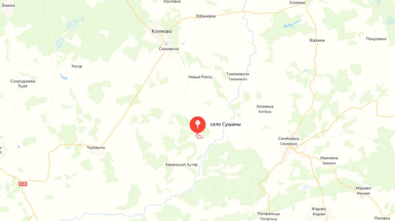 Александр Богомаз: ВСУ обстреляли брянское село Сушаны