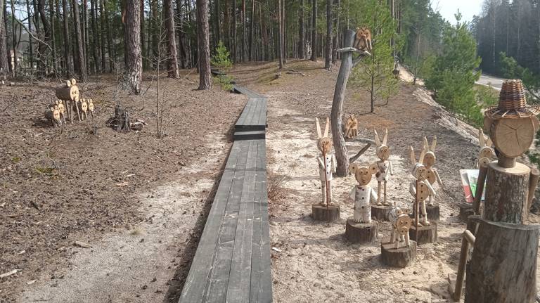 В заповеднике «Брянский лес» по нацпроекту отремонтировали часть экотропы