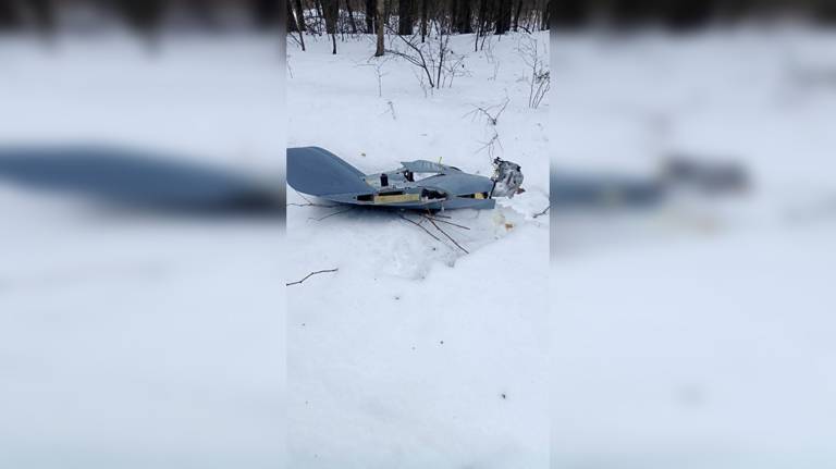 Военкор Сладков показал сбитую на брянской границе «Валькирию»