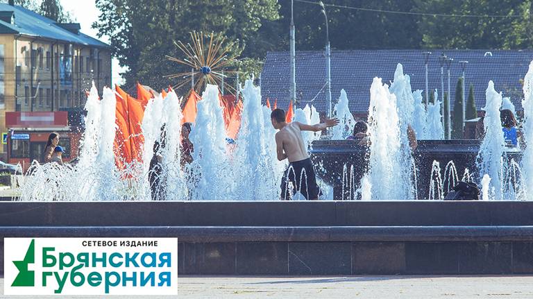 Жара — не повод ходить по Брянску полуголым