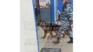 В Брянске из-за угрозы взрыва эвакуировали ТЦ «Европа»