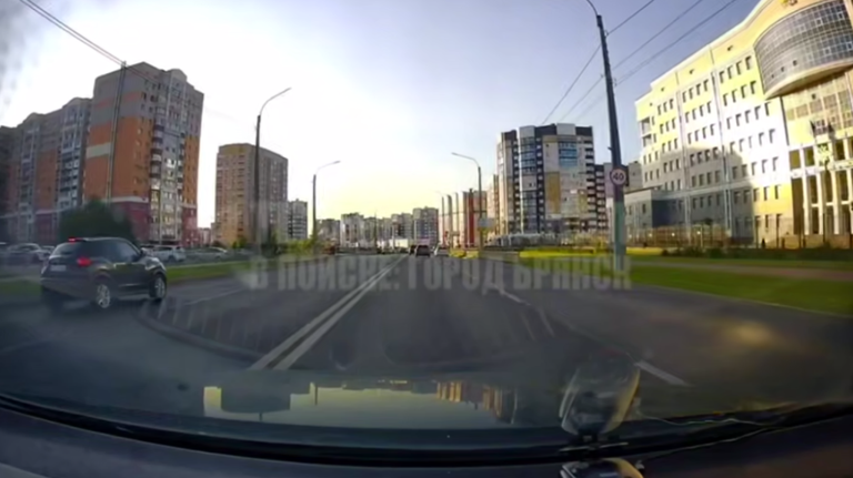 После видео в соцсетях наказали автоледи из Брянска