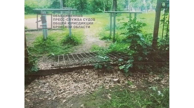 Брянский суд не пощадил экс-директора парка Пушкина за халатность