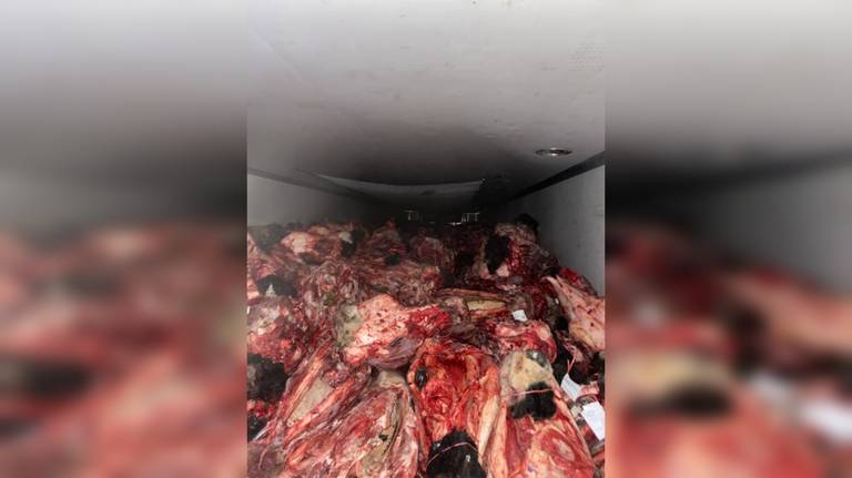 Брянские таможенники задержали два белорусских грузовика с 40 тоннами подозрительного мяса