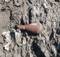 В Почепском районе обезвредили минометную мину