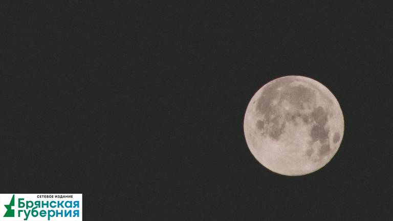 Минувшей ночью жители Брянской области могли наблюдать волчью луну