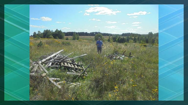 В 2023 году в Брянской области на сельхозземлях обнаружили 37 свалок