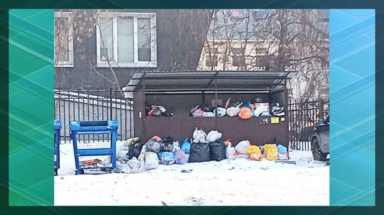 «Чистая планета» прокомментировала ситуацию с вывозом мусора в Брянске и области
