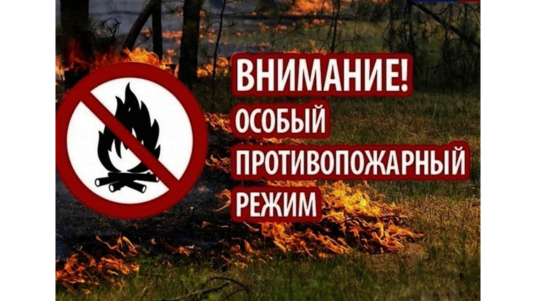 В лесах Брянской области с 28 апреля по 11 мая вводится особый противопожарный режим