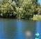 В Дятькове в озере Белое утонул 38-летний мужчина