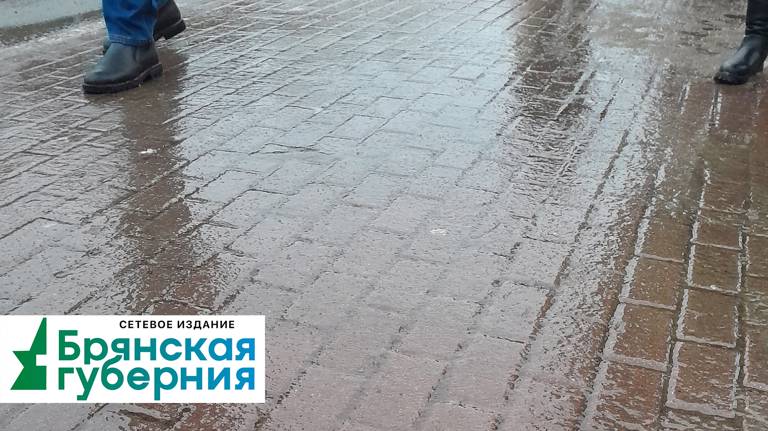 Утром в Фокинском районе Брянска пришлось более 40 минут ждать автобус №31