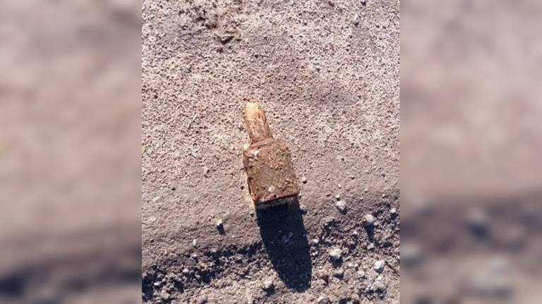 В Брянской области обнаружили снаряд, мину и гранату