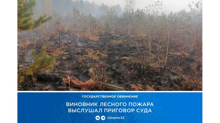 В Карачеве осудили виновника крупного лесного пожара