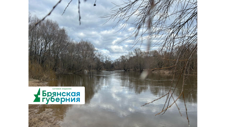 Из-за паводка на Брянщине затопило 11 новых участков