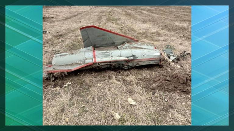 Фото сбитого над Брянщиной беспилотника «Стриж» опубликовал губернатор Богомаз