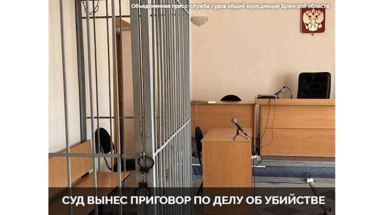 Жителя Севска осудили на 9 лет за убийство собутыльника