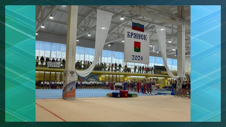 Состоялось первенство Брянской области по спортивной гимнастике