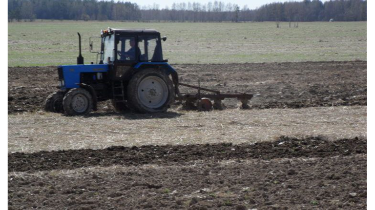 В Брянской области завершается сев озимых