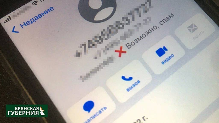 За полгода жертвами телефонных и сетевых мошенников стали 814 брянцев