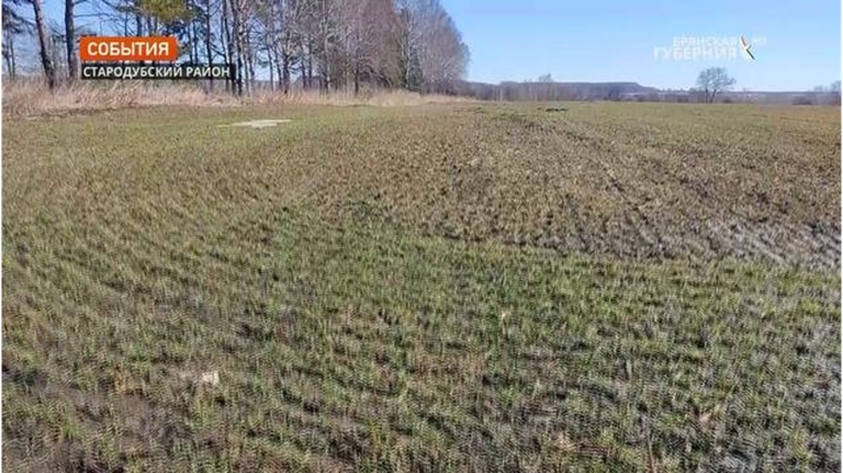 Брянские аграрии успешно решают вопросы продовольственной безопасности страны