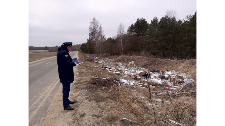 Клинцовских дорожников обязали убрать свалку на обочине дороги