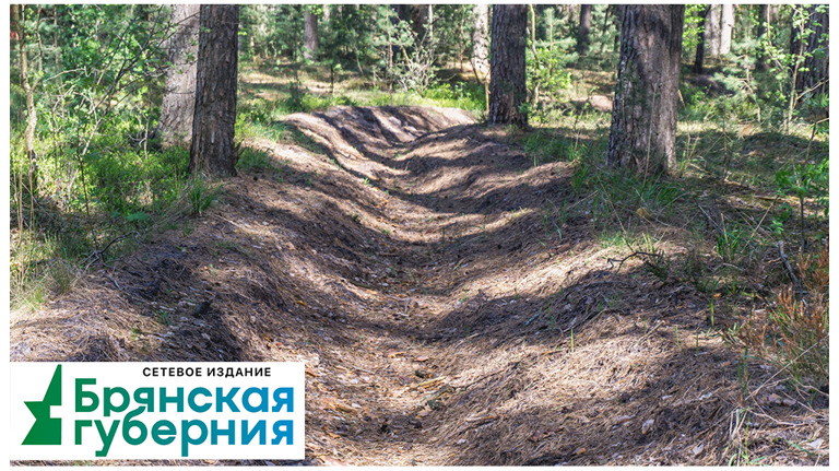 Вдова погибшего при тушении леса работника лесопожарной службы добилась компенсации