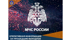 МЧС: в Брянской области за выходные потушили 30 пожаров