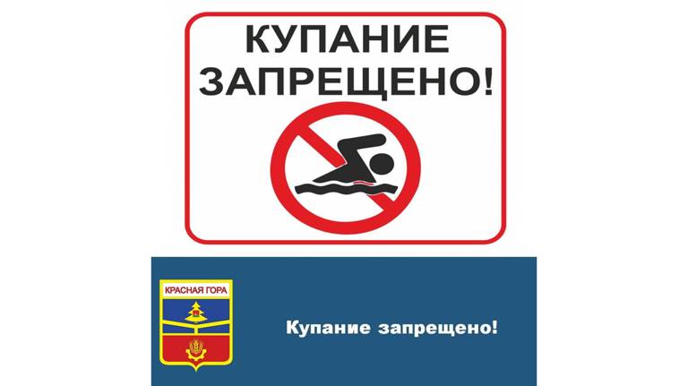 В брянском посёлке Красная Гора запретили купаться в реке Беседь