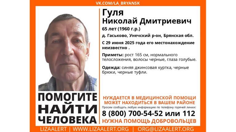 В Брянской области ищут пропавшего 65-летнего Николая Гулю