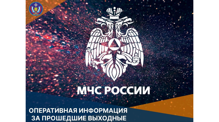 МЧС: в Брянской области за выходные потушили 38 пожаров