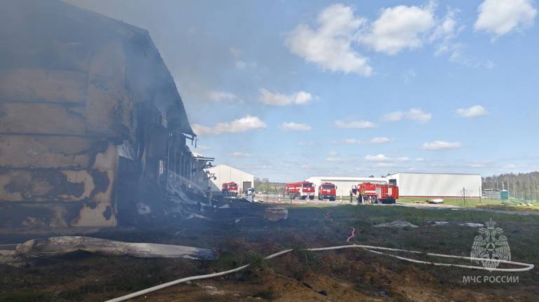 В Выгоничском районе загорелась птицеводческая ферма агрохолдинга «Мираторг»