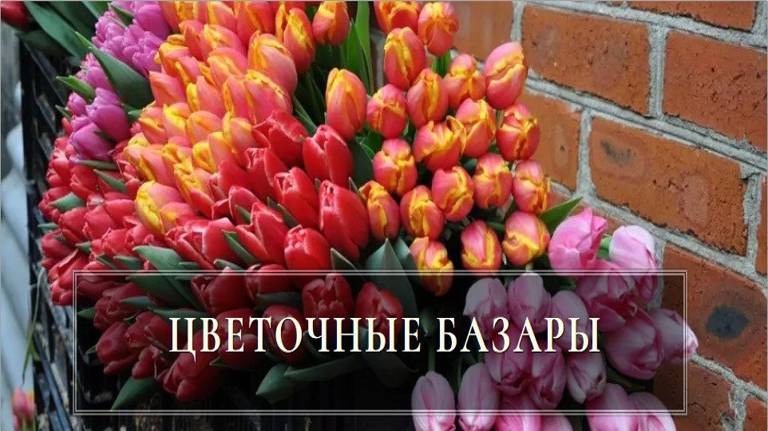 В Брянске 6 марта откроются цветочные ярмарки