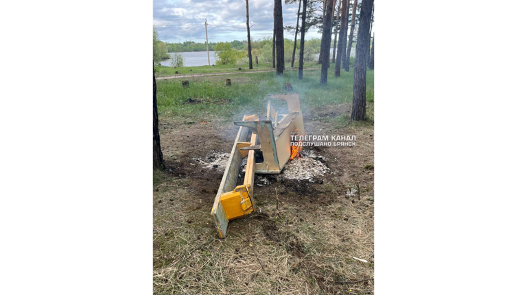 В Брянске сфотографировали помойку на Орлике после праздника