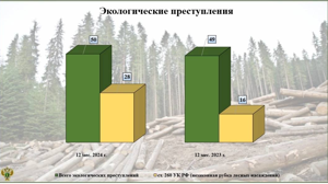 В прошлом году в Брянской области зарегистрировали 50 экологических преступлений